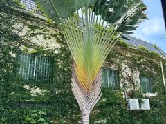 -三亚南山文化旅游区