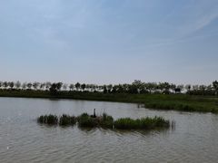 -南大港湿地风景区