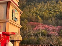 -安吉银润锦江城堡酒店(Hello Kitty主题乐园店)