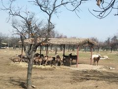 -西安秦岭野生动物园
