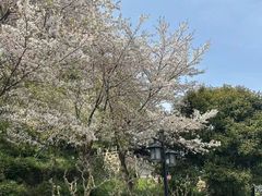 -苏州上方山国家森林公园