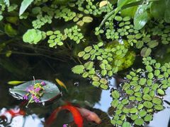 -墨江小城故事餐厅