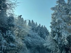 -武陵山森林公园