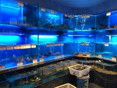 -协成海鲜火锅(海洋花园店)
