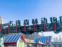 -大连森林动物园