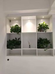 -MIVI半永久纹眉绣眉