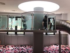 -龙格亲子游泳·水育早教运动中心(绿城店)