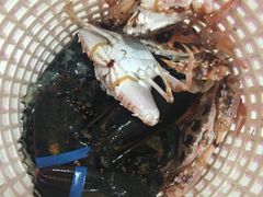 -南海渔家•海鲜•正宗海南菜(海棠湾店)