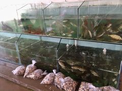 -蚝乡农庄(铁涌赤岸店)