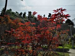 -广州市帽峰山景区