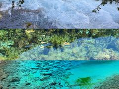 -西姆山居酒店(九寨沟沟口店)