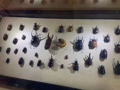 -燕莎友谊商城(亮马桥店)