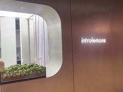 -introlemons(北京西单更新场店)