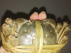 -品鲜村农家菜·阳澄湖大闸蟹(总店)
