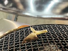 -灶边炉台·东北融合烤肉(南山店)