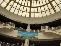 -澳门外港客运码头(轮渡站)