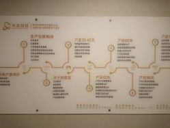 -大美母婴月子中心(馨乐庭店)