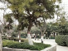 -莲湖公园