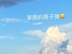 -呼伦贝尔大草原