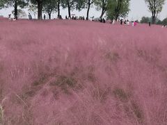 -汉长安城未央宫国家考古遗址公园