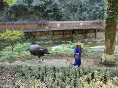 -车溪民俗旅游区