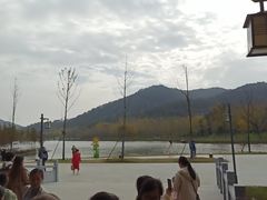 -千年银杏谷文化旅游区