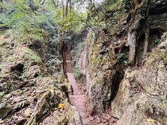 -普者黑风景区-青龙山