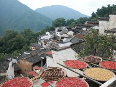 -婺源风景区