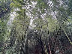 -会稽山峡洞漂流-上青古道