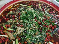 -东吴霸王兔(松青路店)