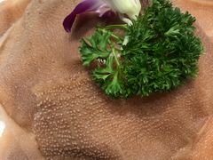 -草原塞蛮羊火锅城(港湾店)