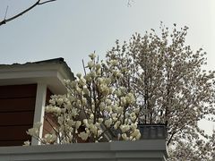 -静之湖度假区