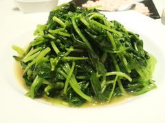 清炒鸡毛菜-松鹤楼(狮山永利广场店)