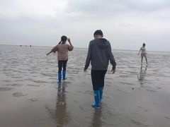 -碧海金沙