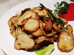 -川味堂·四川豆花(八卦岭店)