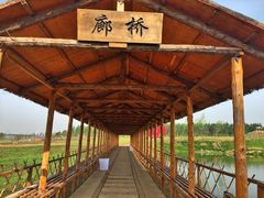 北纬44度·金珠花海景区-北纬44度·金珠花海休闲农业旅游景区