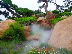 -罗红摄影艺术馆