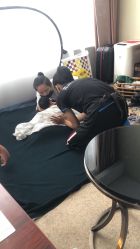 -芳妮豆丁家庭影像馆(宝安店)
