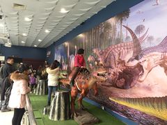 -自贡恐龙博物馆