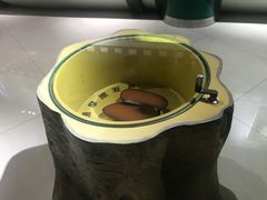 -上海昆虫博物馆