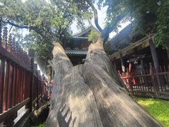 -晋祠博物馆