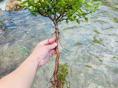 -青州市云门山风景区