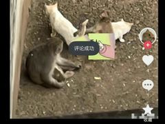 -昆明动物园