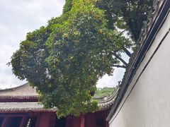 -宁波市保国寺古建筑博物馆