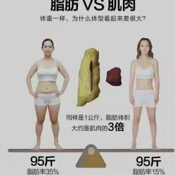 -Fundi张玉珊修身堂·indiba·BTL科技瘦身