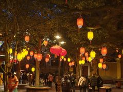 -普陀山慧济禅寺