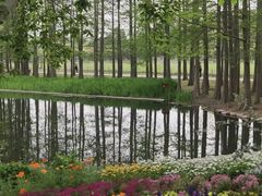 -上海共青森林公园