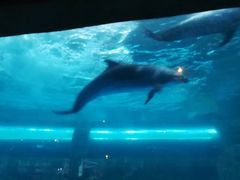 -波塞冬旅游度假区