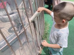 -萌宠亲子动物乐园(槐房万达店)