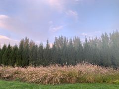 -汉长安城未央宫国家考古遗址公园